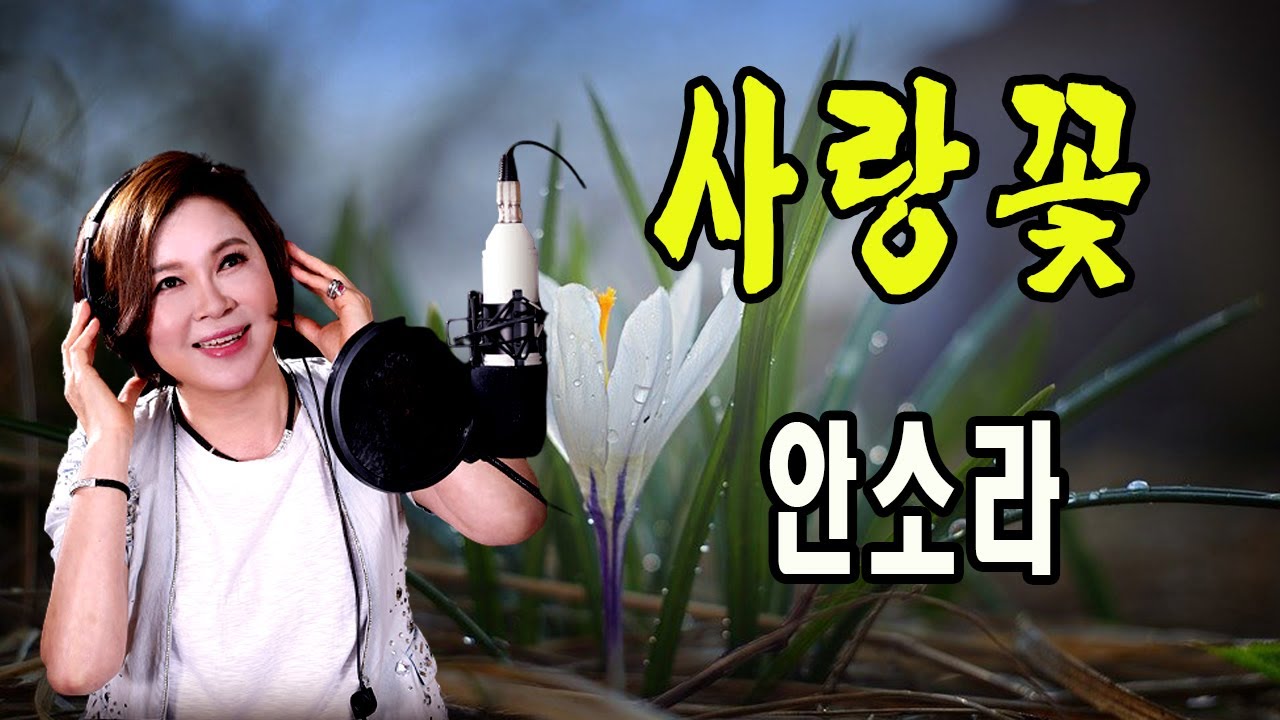 사랑꽃 / 안소라 [2020 신곡]