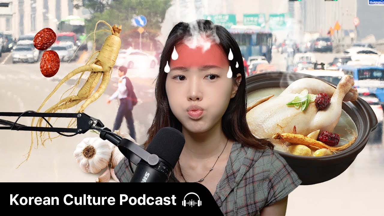 한국인의 여름 풍습, 삼복날 🍲 | Didi's Korean Culture Podcast