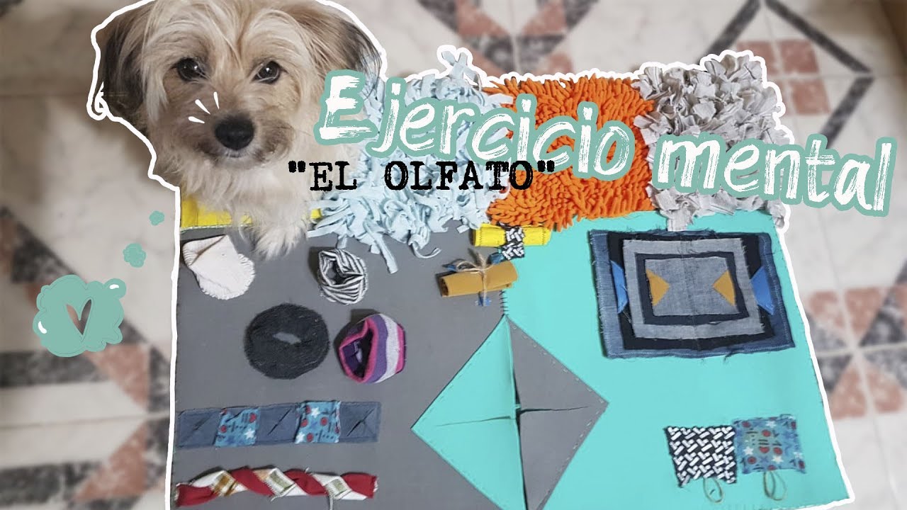 DIY Alfombra olfativa o snuffles mat + juegos de olfato