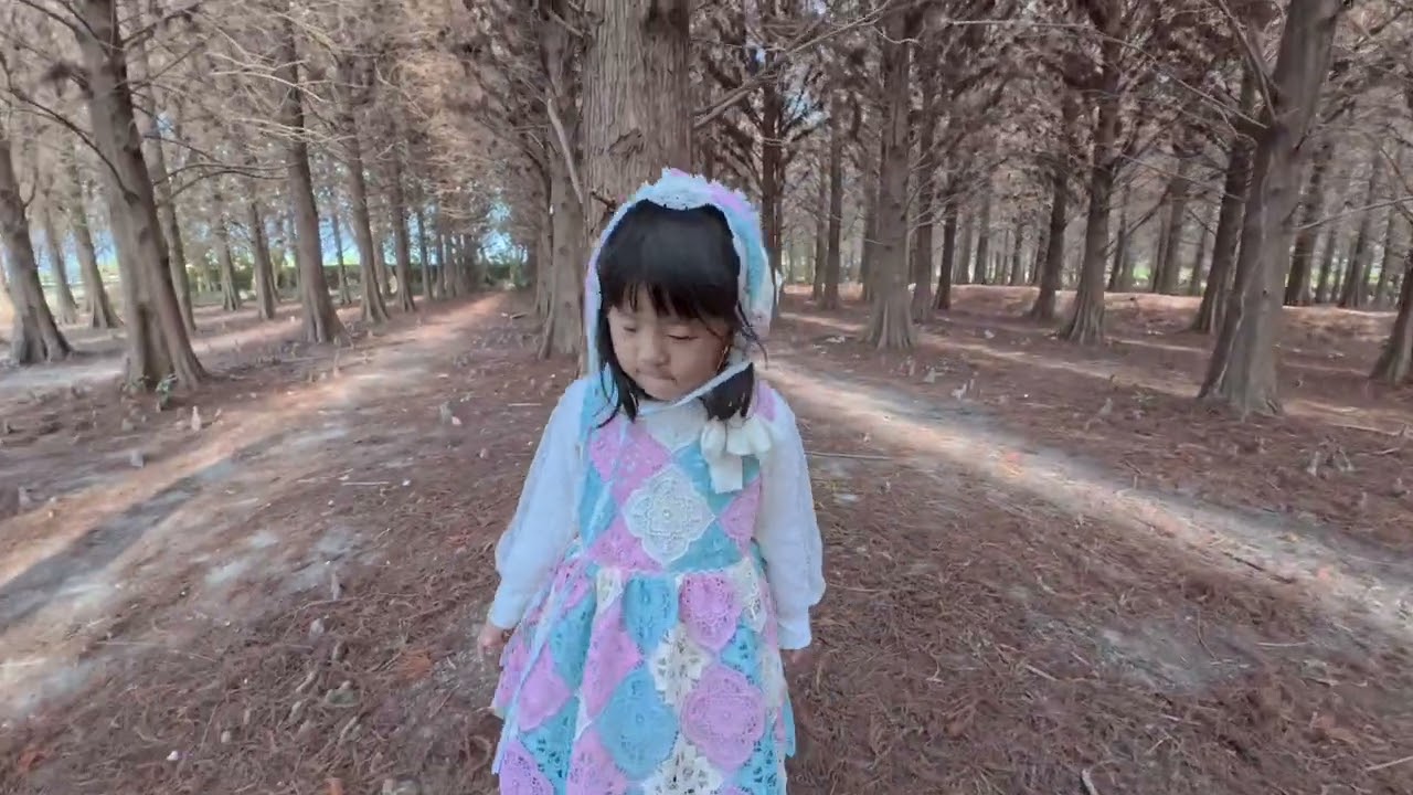 雲林九芎村落羽松