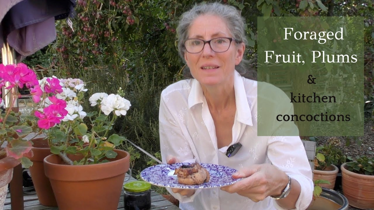 Forage fruits , plums & kitchen concoctions Wk31