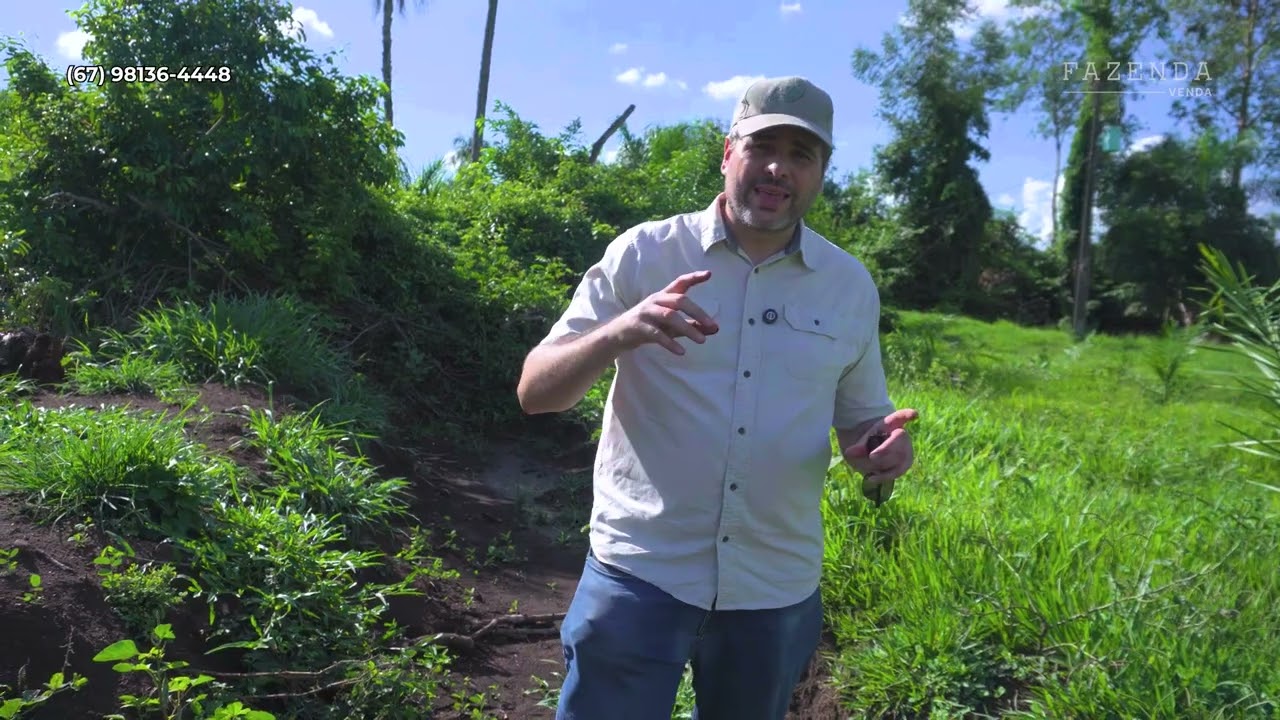 📍 50 Hectares à Venda em Jaraguari/MS – Região do Bom Fim