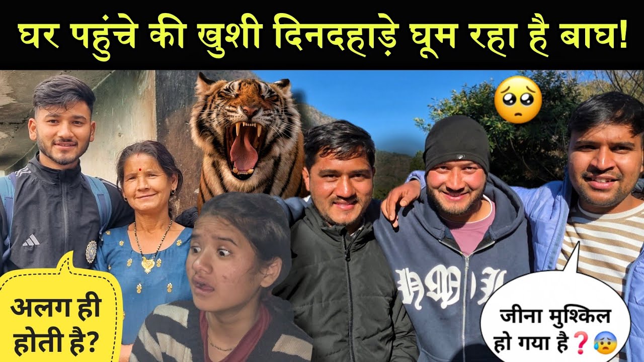 घर पहुंचे की अलग ही खुशी!🥺||दिनदहाड़े कर ले रहा है यह बाघ जान!😲||दोस्तों से भी ले ली विदाई!😌