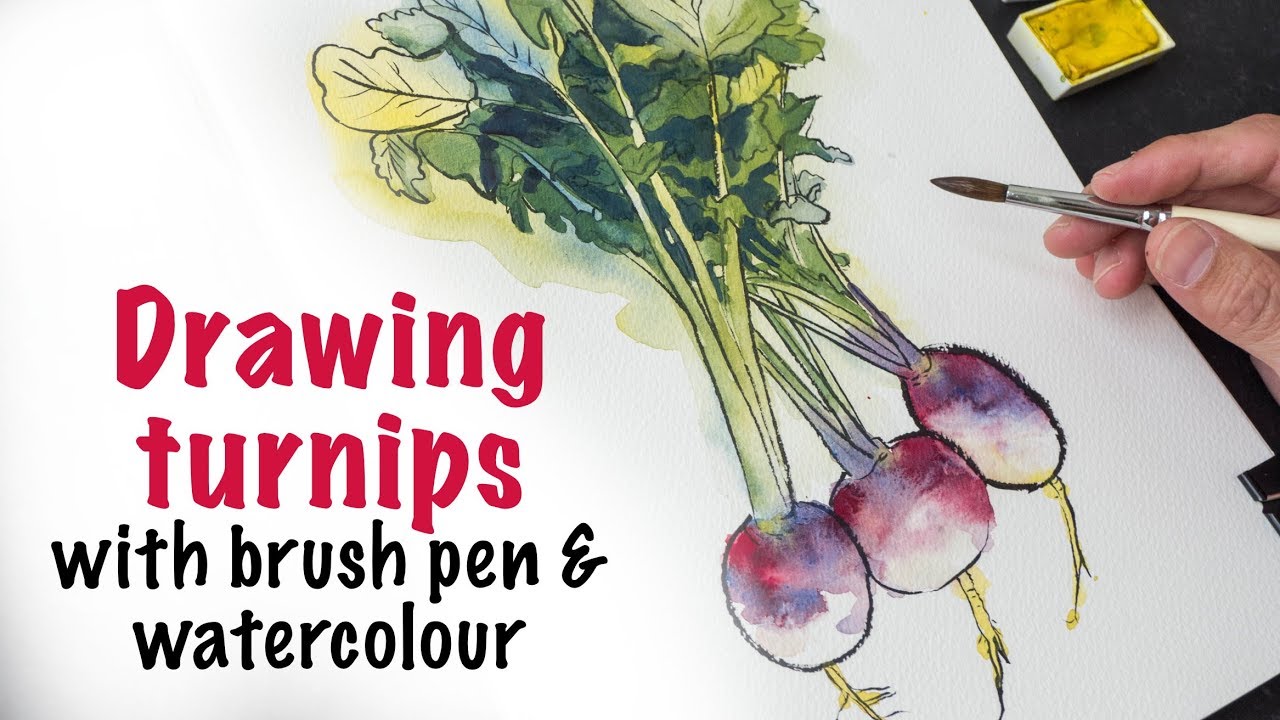 How to Draw Turnips with Brush Pen and Watercolour