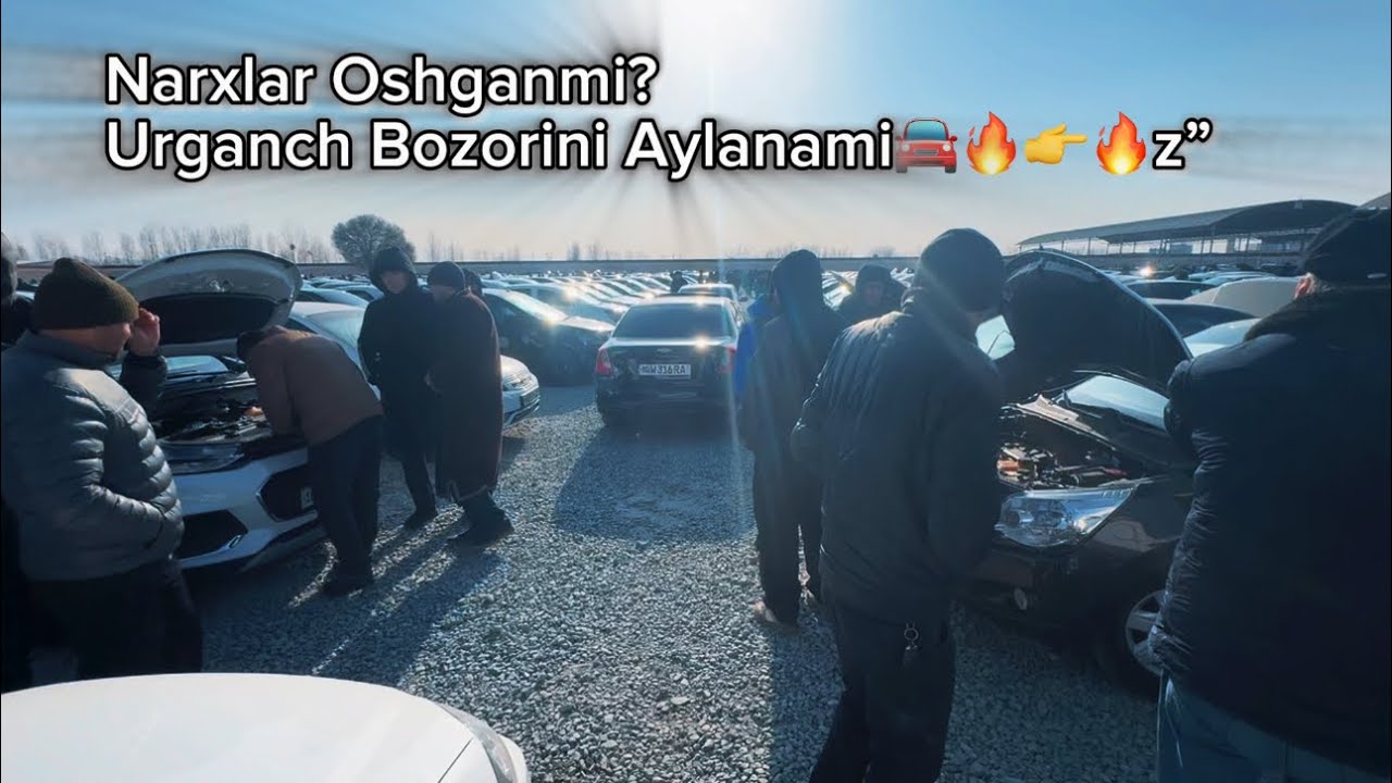Xorazm Urganch moshin bozori 03.01 🔥👉🔥bi bozor o’zi novo’ldi 