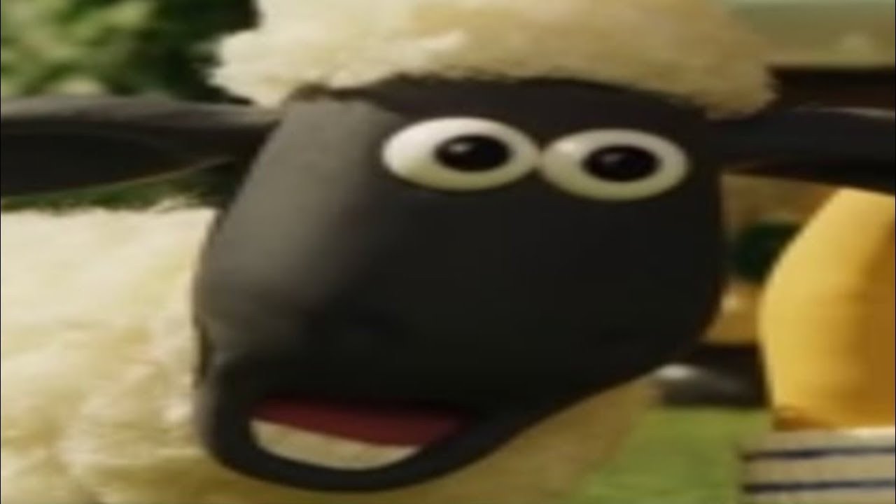 Top 5 Shaun the sheep 