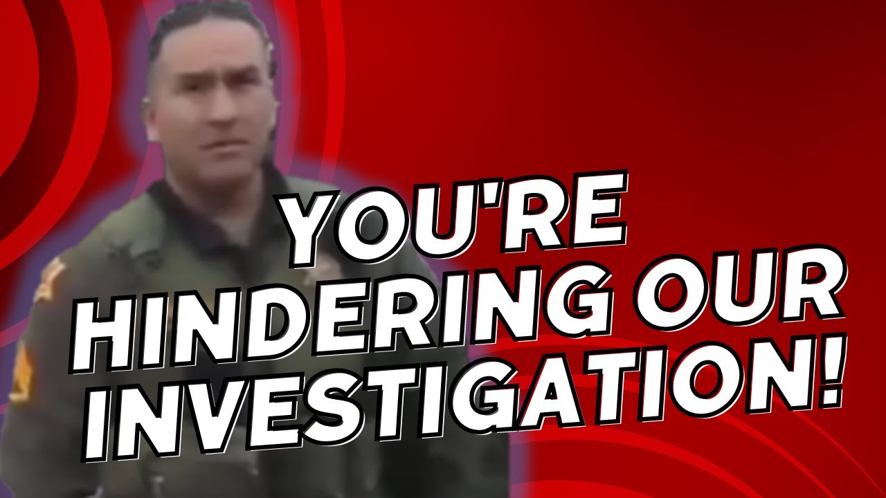 Frauditor Arrested with FOUR Charges