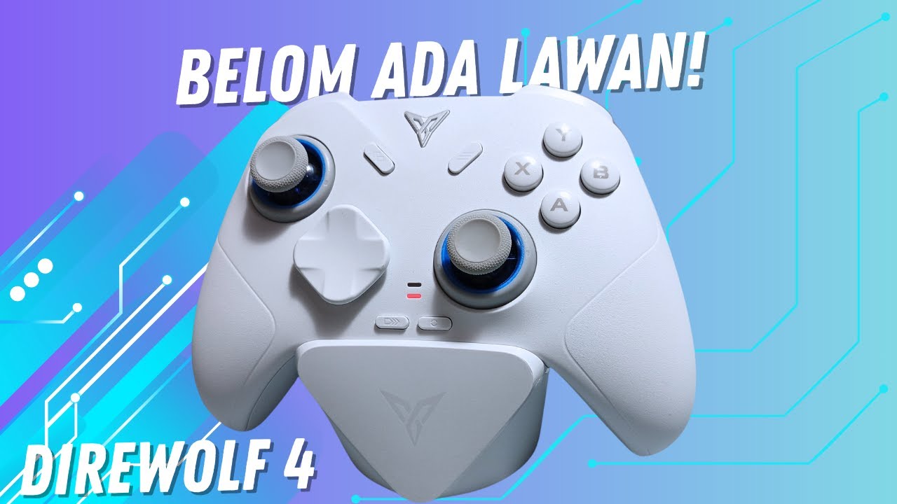 Ini sih kebanyakan untuk HARGA SEGINI! Review Flydigi Direwolf 4 dan perbandinganya dengan Vader 4