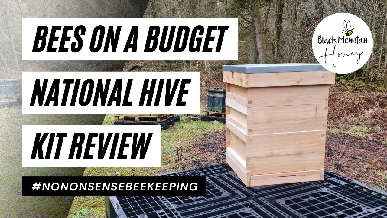 Best Budget Beehive – Thorne Bees on a Budget Kit Review – Wooden National Beehive Explained