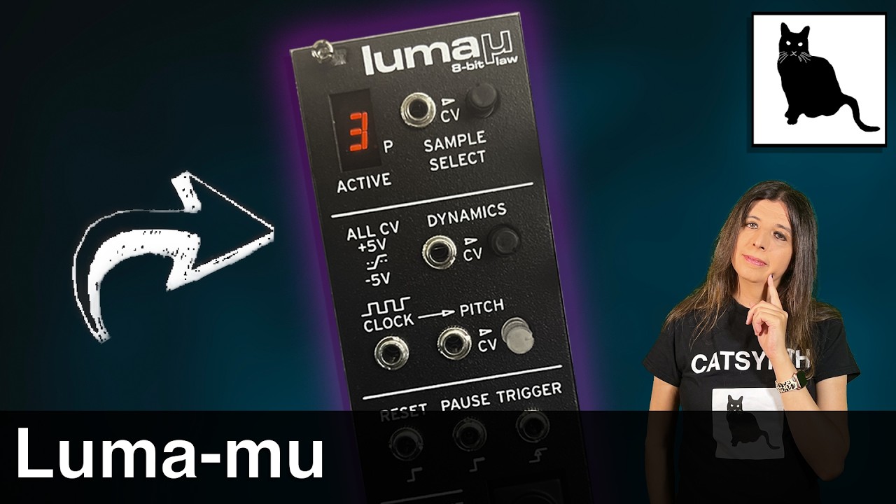 Luma-mu: перенос легендарного Linn LM-1 в Eurorack.