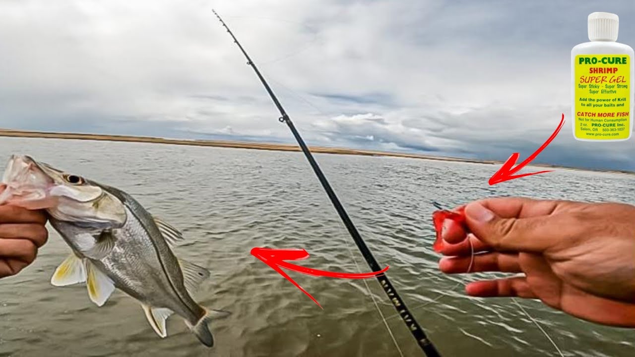🎯 [T&Eacute;CNICA] infal&iacute;vel para Pesca de Robalos - Ultra Light - Micro camar&atilde;o