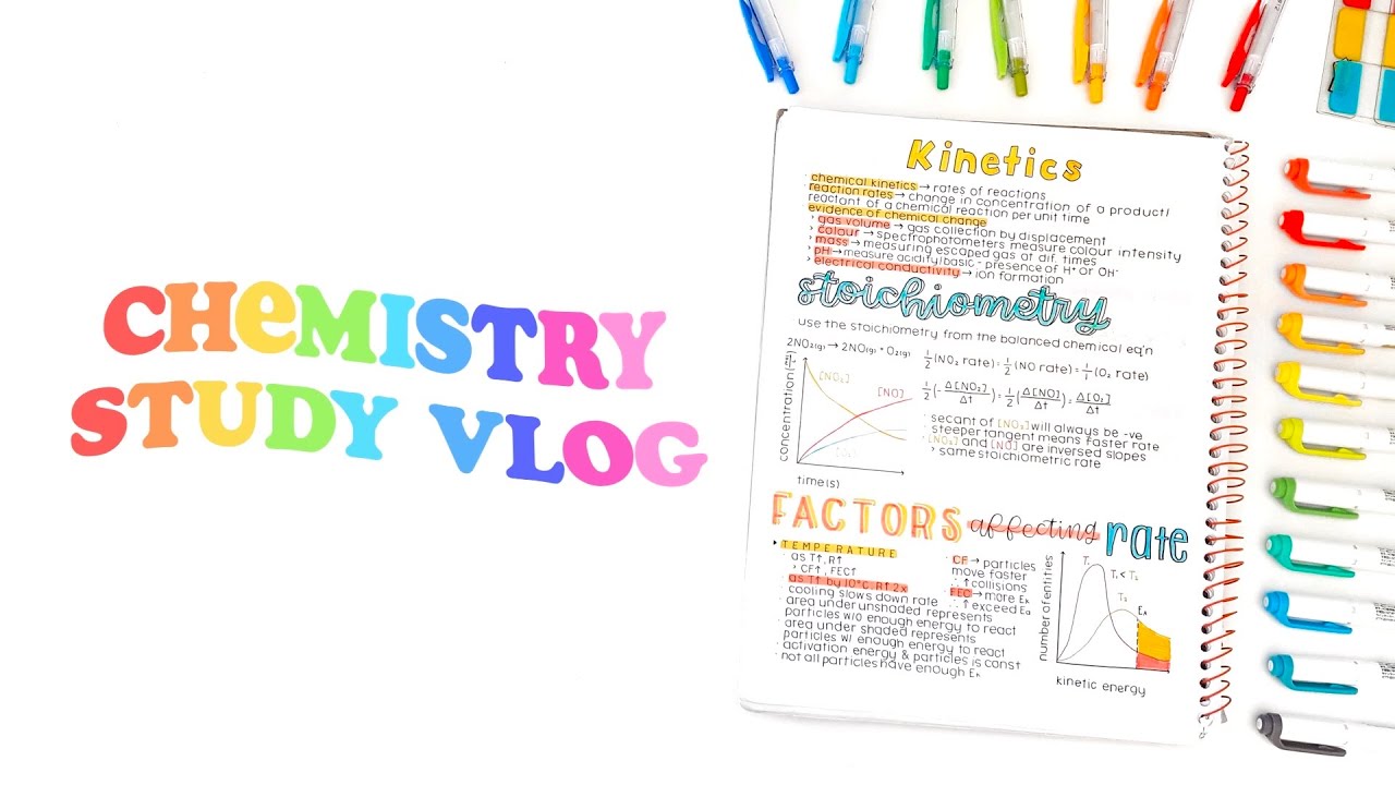 Productive Study With Me | Online School 💻