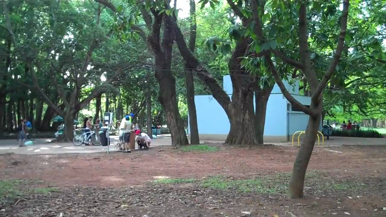 Uma tarde no parque do Ibirapuera (Flip Ultra HD)