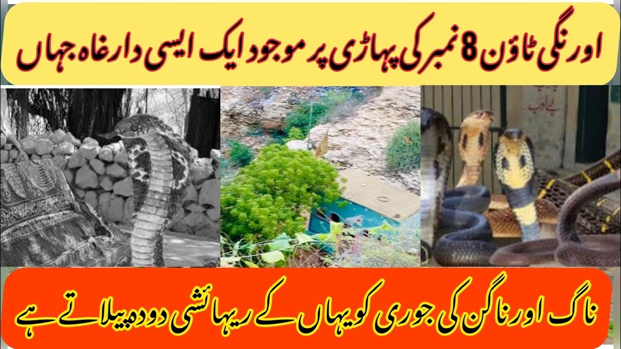 Sanpo Wali Dargah 🐍| Shareef Baba Data Nagar Ki Phahari | Milk Pite hai Sanp | Orangi Town Karachi