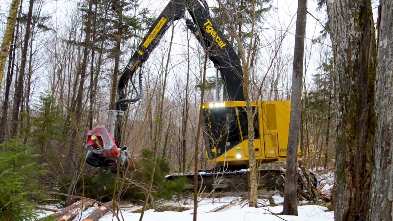 Harvester Tigercat H822D with Log Max Harvesting Head