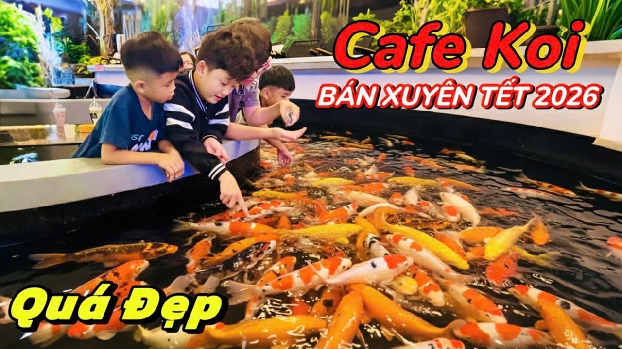 QUÁ ĐẸP! Quán Cafe CÁ KOI Trung Nguyên Ở Lagi – Mở Cửa Xuyên Tết 2026
