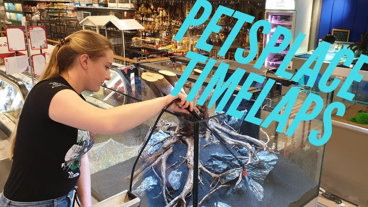 Timelapse PetsPlace Alexandrium Rotterdam Aquascaping