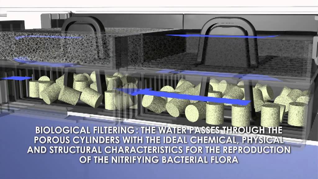 ASKOLL Pure: Rolling Filtration System - English.mp4