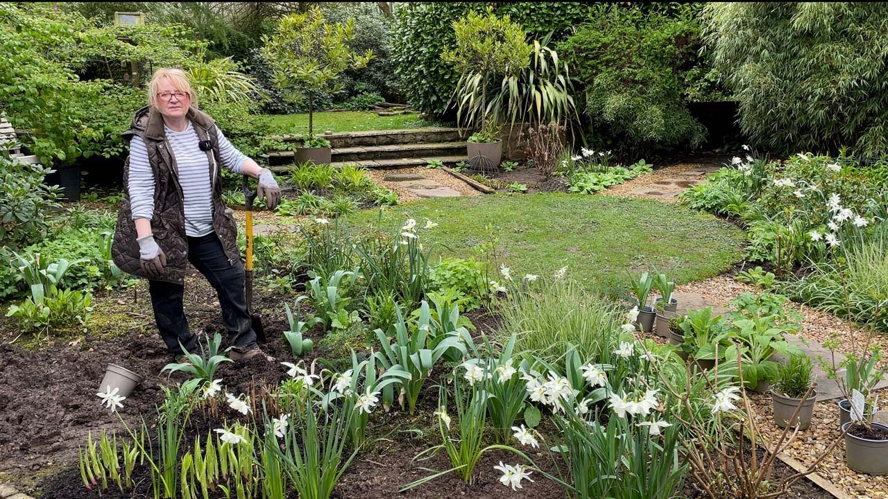 Adding new perennials and a shrub to the White Garden