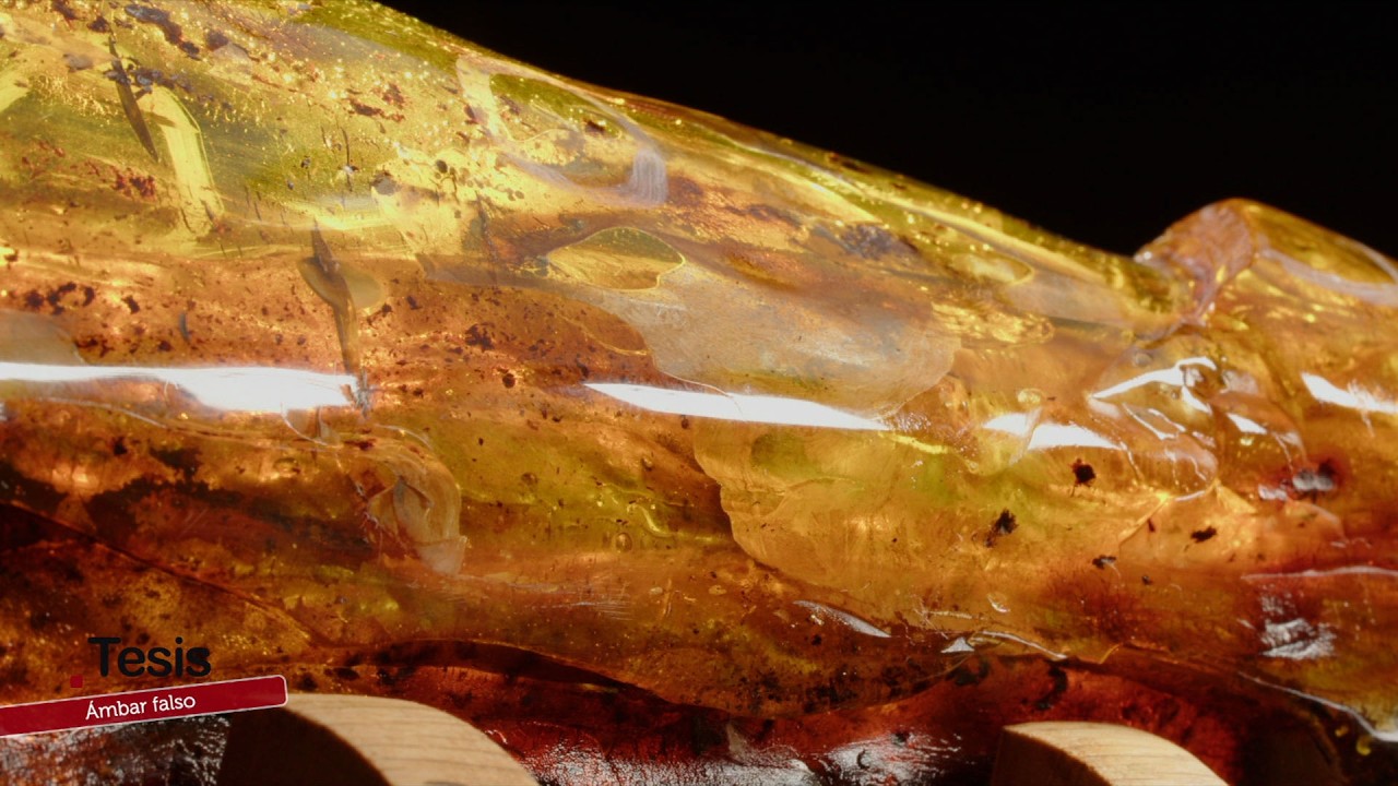 🟠 ÁMBAR FALSO: EL ASOMBROSO ENGAÑO DE LA PREHISTORIA 🔍