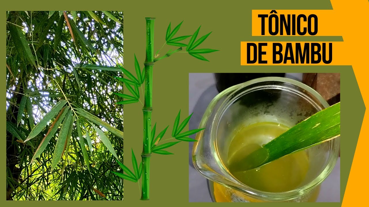 Como fazer Tônico Capilar de Folhas de Bambu