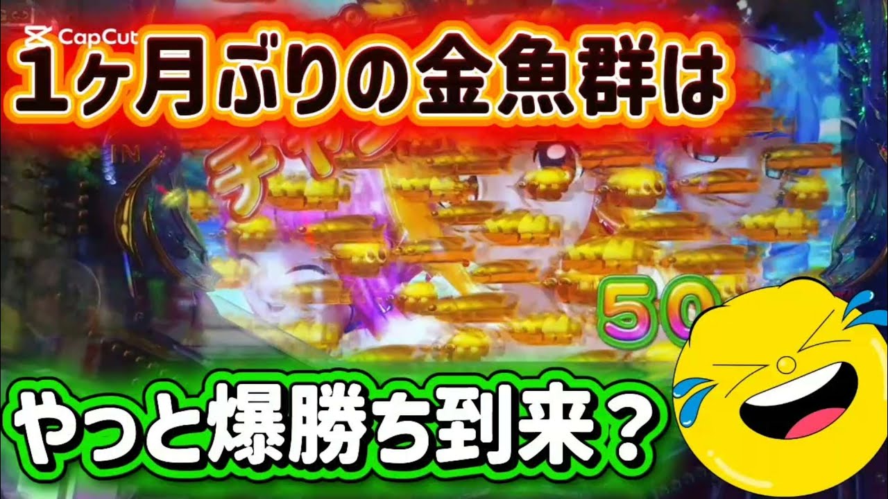 １ヶ月ぶりの金魚到来！爆勝ちの前兆か？