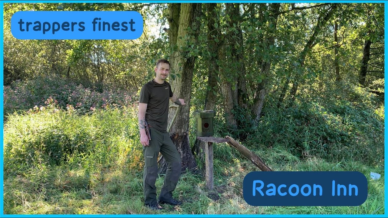 Racoon Inn - Waschbärenkirrung à la trappers finest