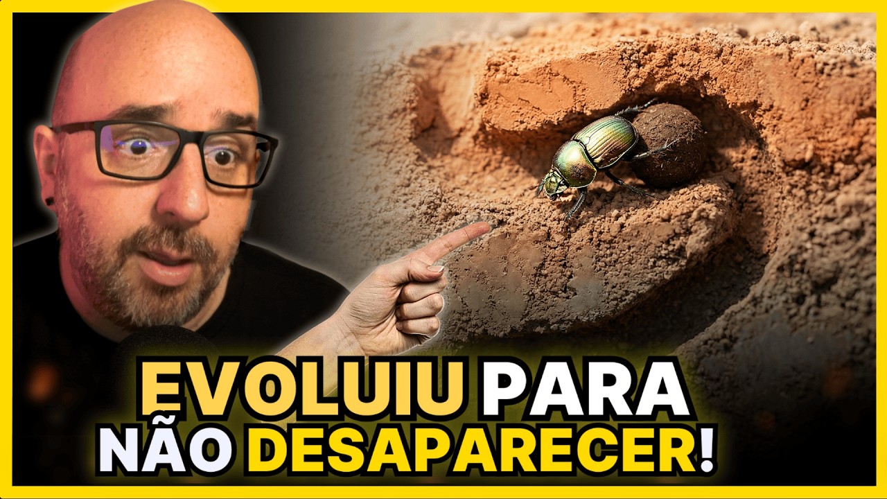 IMPACTO SURPREENDENTE na REPRODUÇÃO dos ANIMAIS