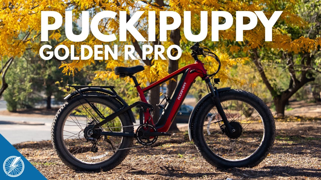 Обзор Puckipuppy GoldenR Pro | Лучший друг человека с двумя моторами?
