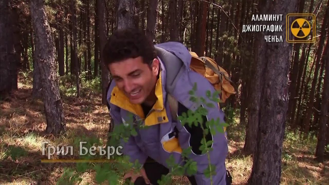 Аламинут - 