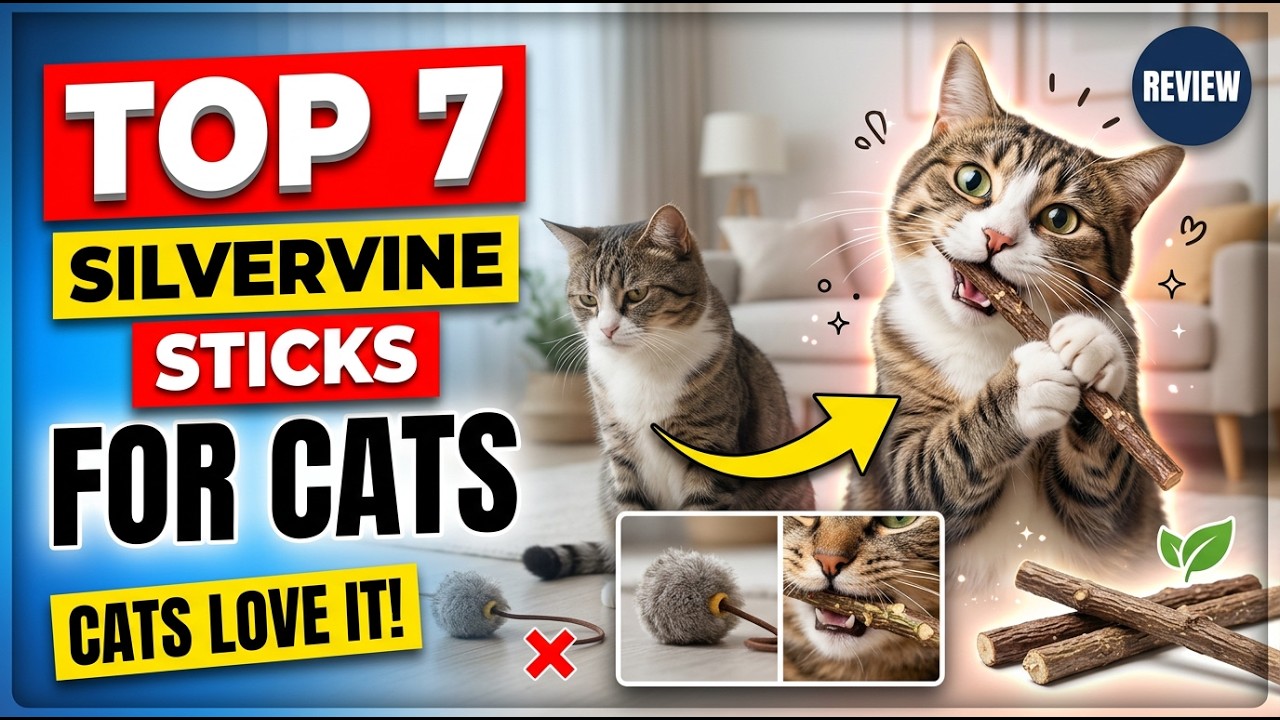 Top 7 Best Silvervine Sticks For Cats Review (Hidden Gem) Most Cats Go Crazy For These Natural Chews