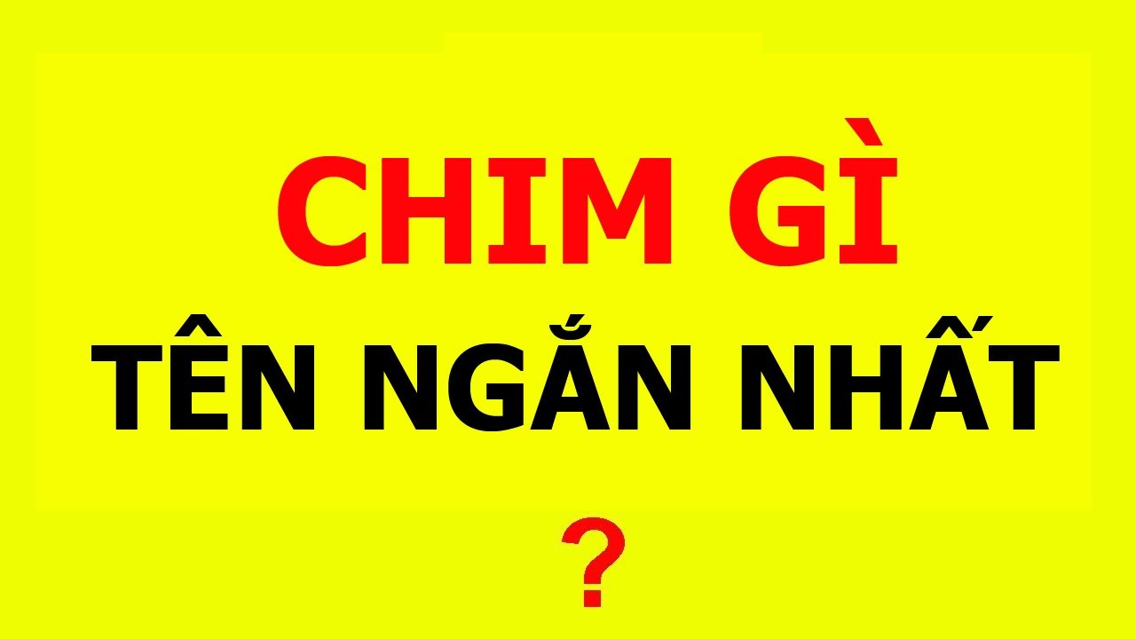 19 câu đố mẹo khiến thần kinh giáo sư lung linh