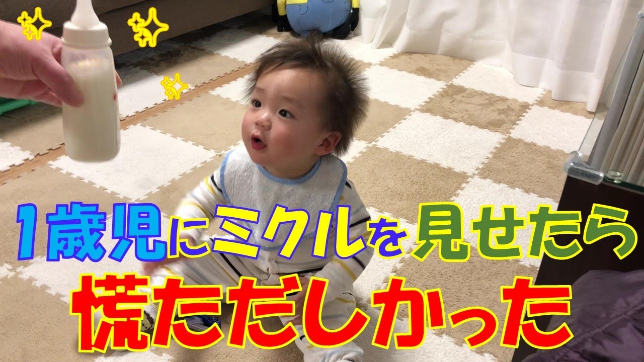 1歳児にミルクを見せたら慌ただしかった