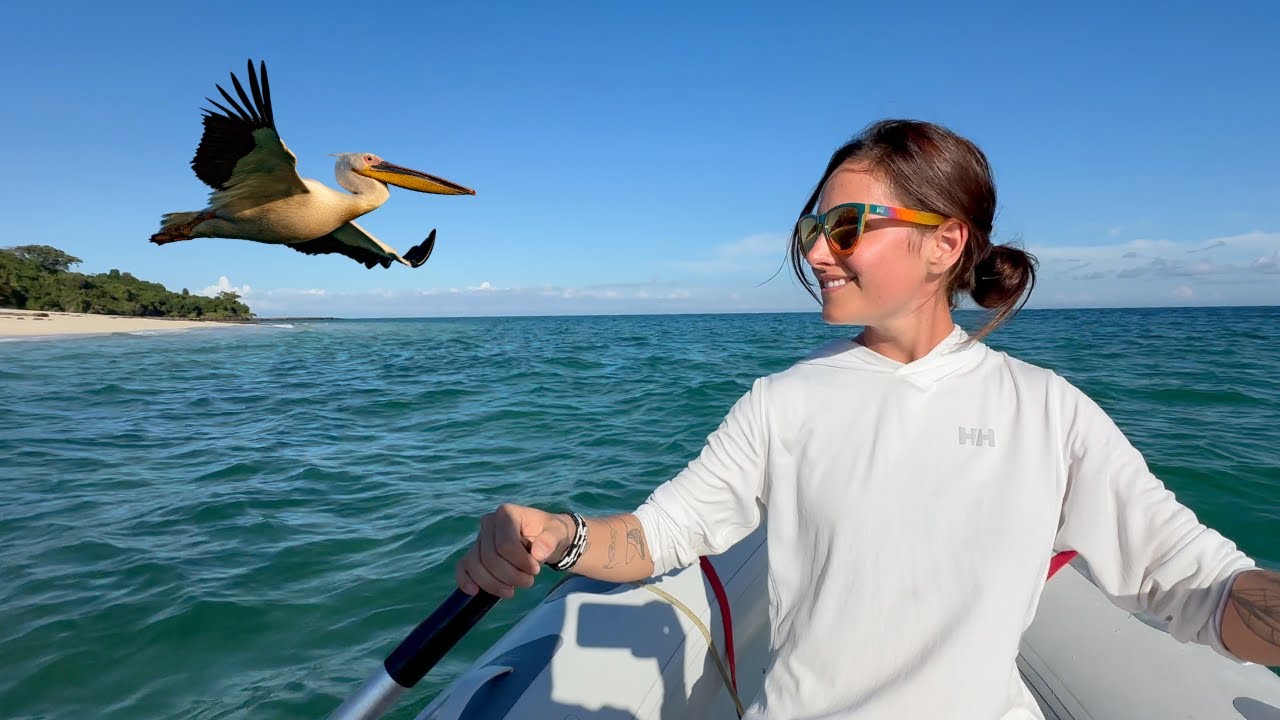 What NOW? BIG Sailing Decisions (+ engine issues) EP. 106