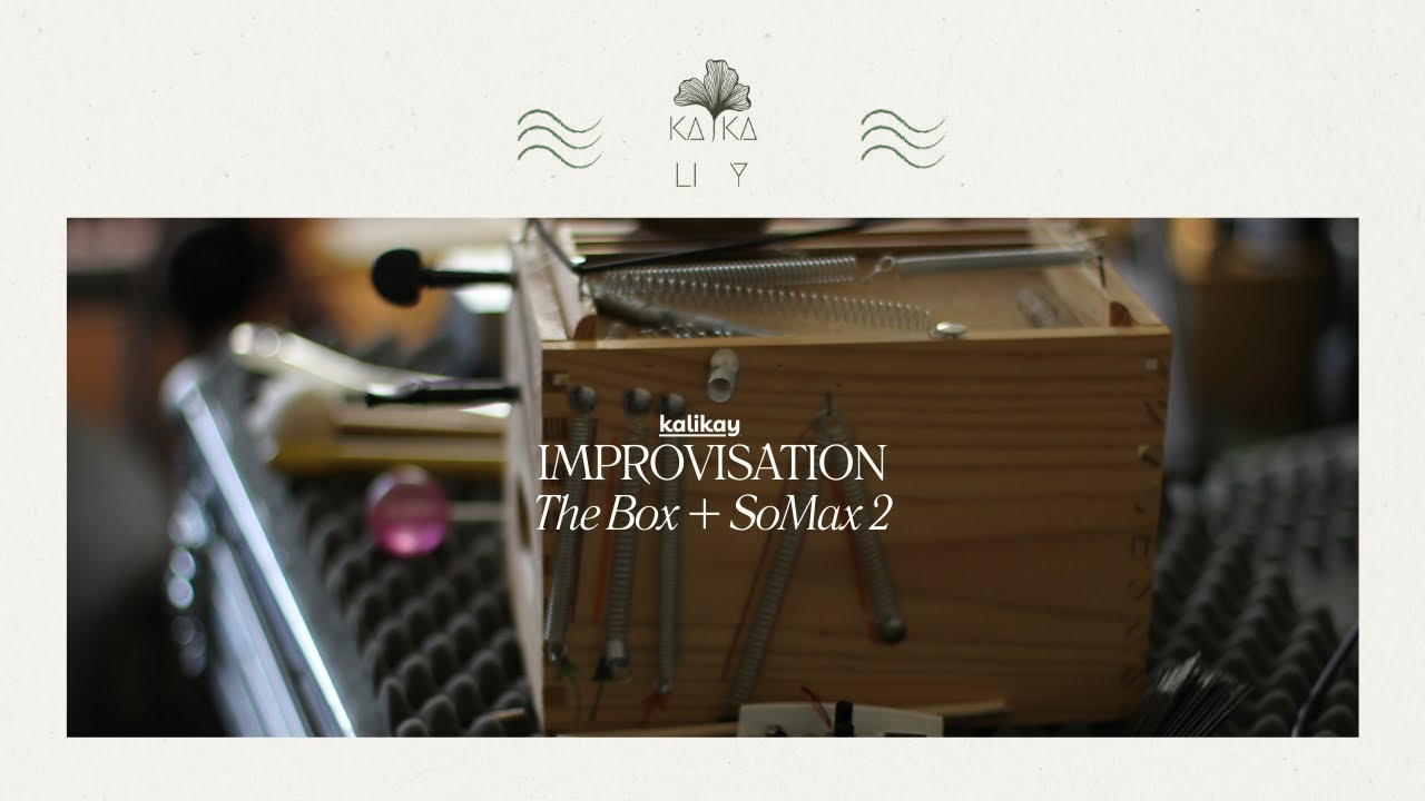 The Box & SoMax2 #somax #ircam @ErcReach