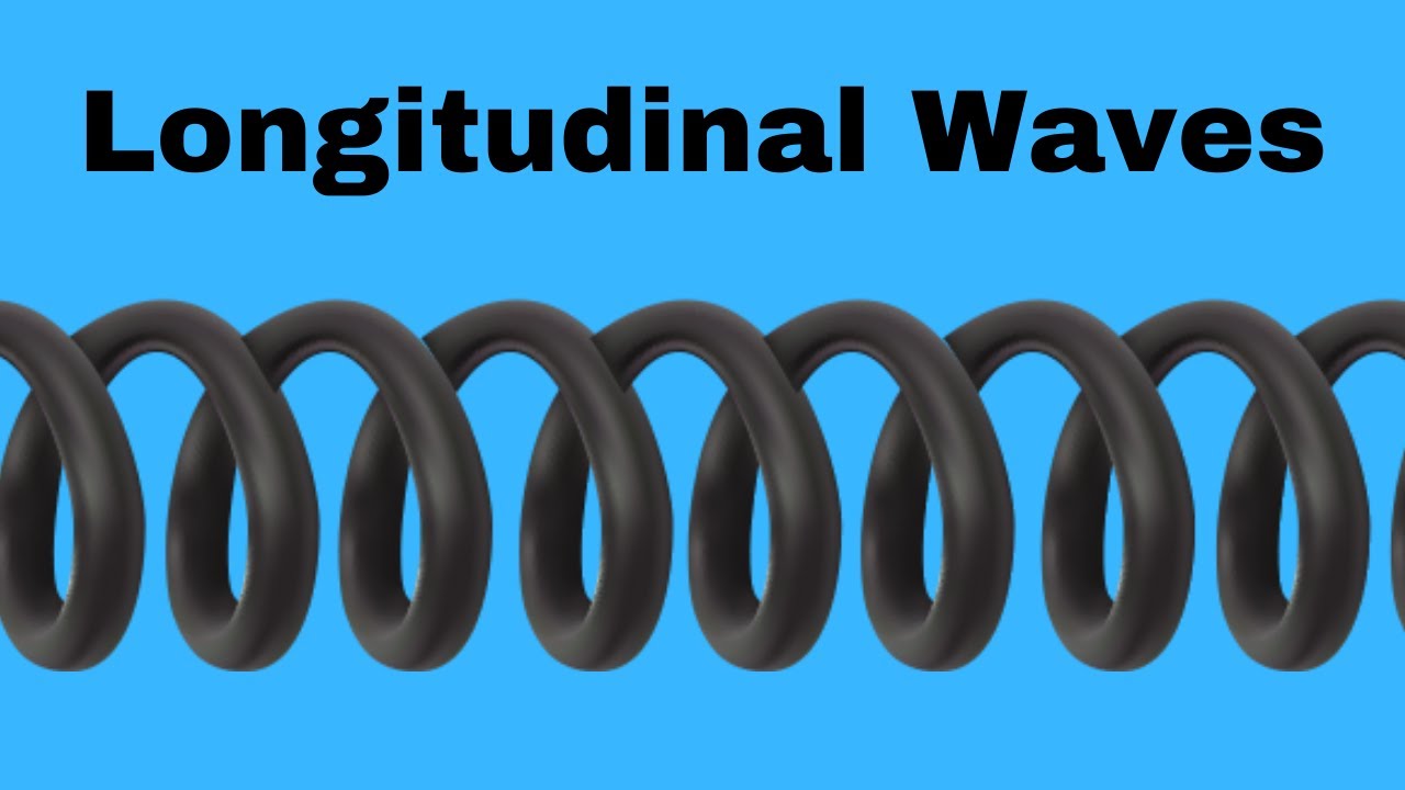 Anatomy of a Longitudinal Wave