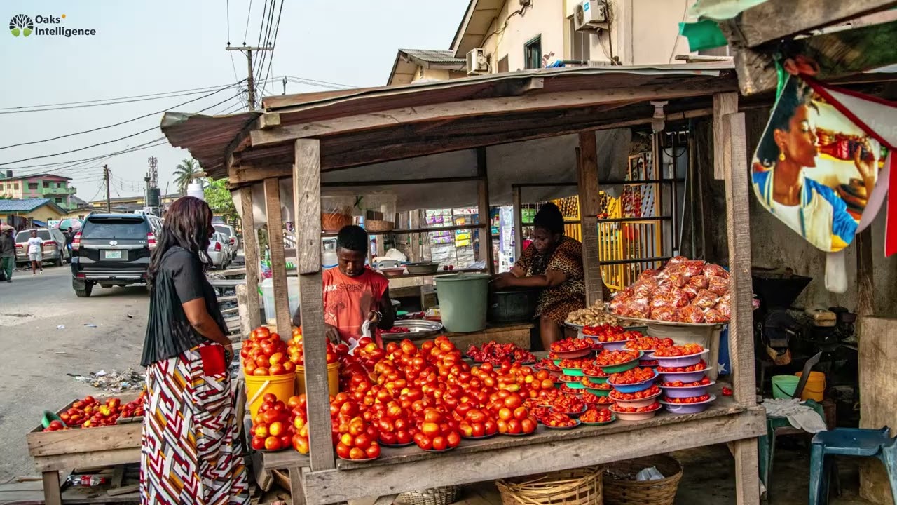 STATE SPOTLIGHT: Exploring GOMBE STATE; Culture, Economy, and Daily Life.