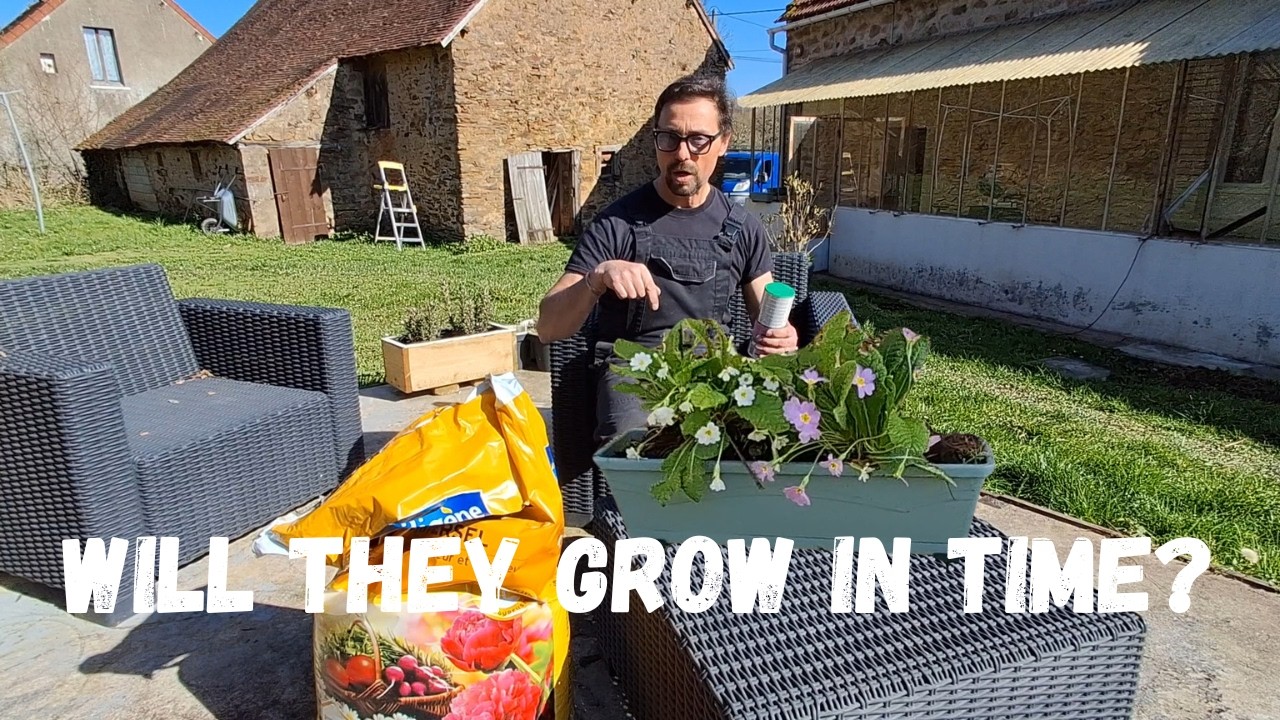 DIY DISASTER? Removing Rusted Windows + French Farmhouse Garden Prep.