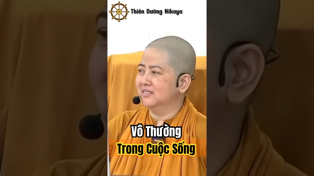V&ocirc; Thường Trong Cuộc Sống _ Chơn T&iacute;n To&agrave;n  #phat #chontintoan #nikaya #shorts
