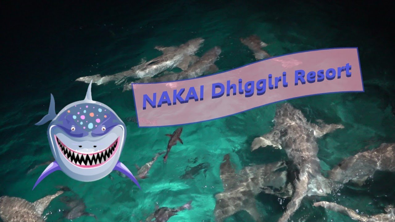 NAKAI Dhiggiri Resort. Свадьбы, ужин, акулы!