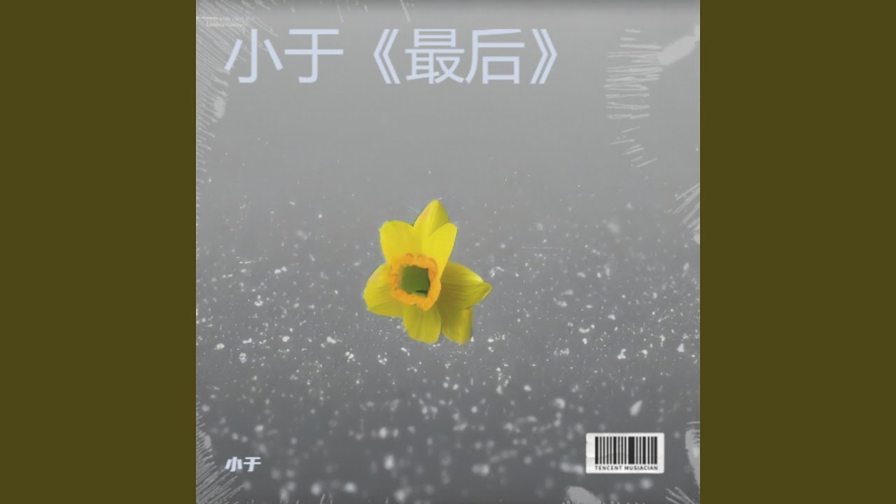 迷雾中的璀璨星光