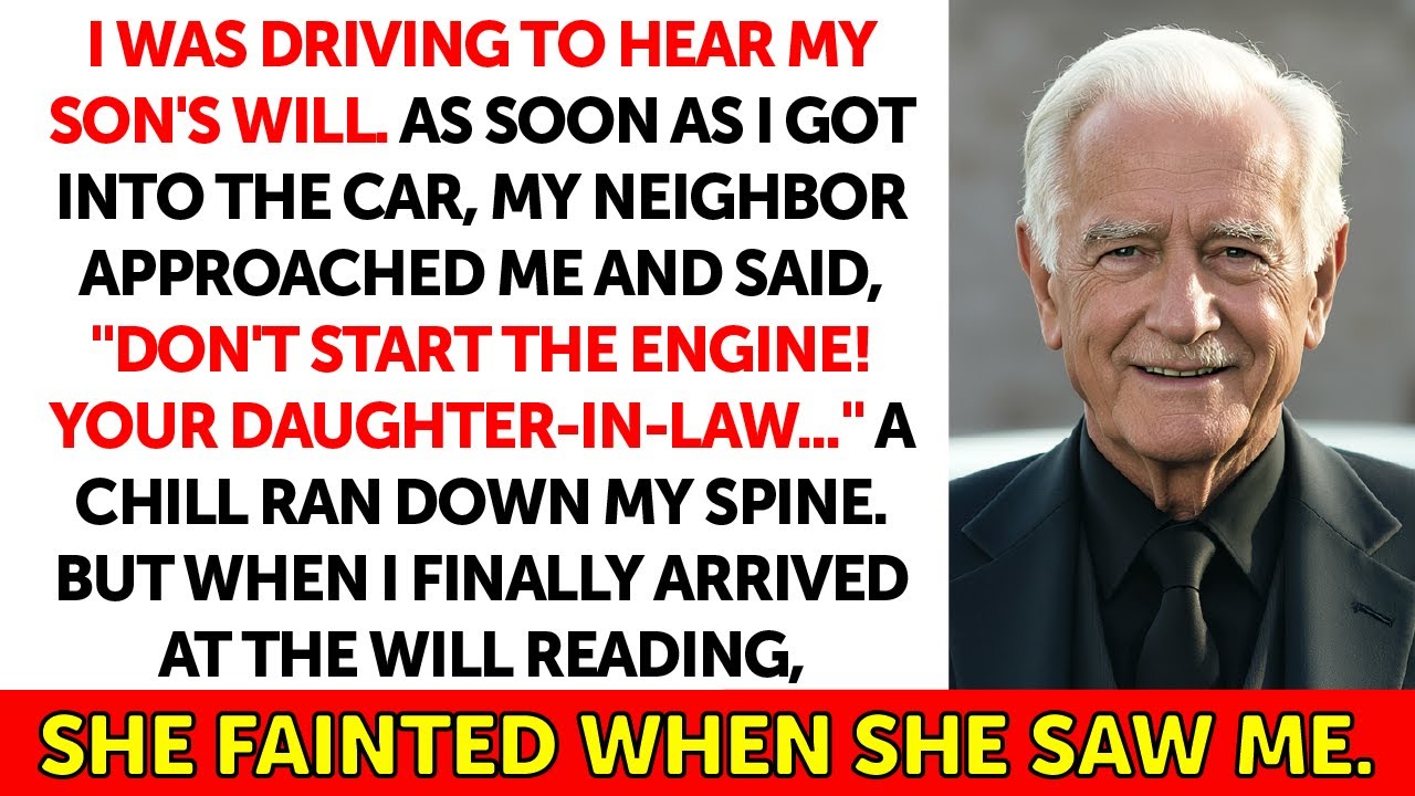 My Son’s Wife Thought She’d Inherit $40 Million — Then the Will Reading Exposed Everything
