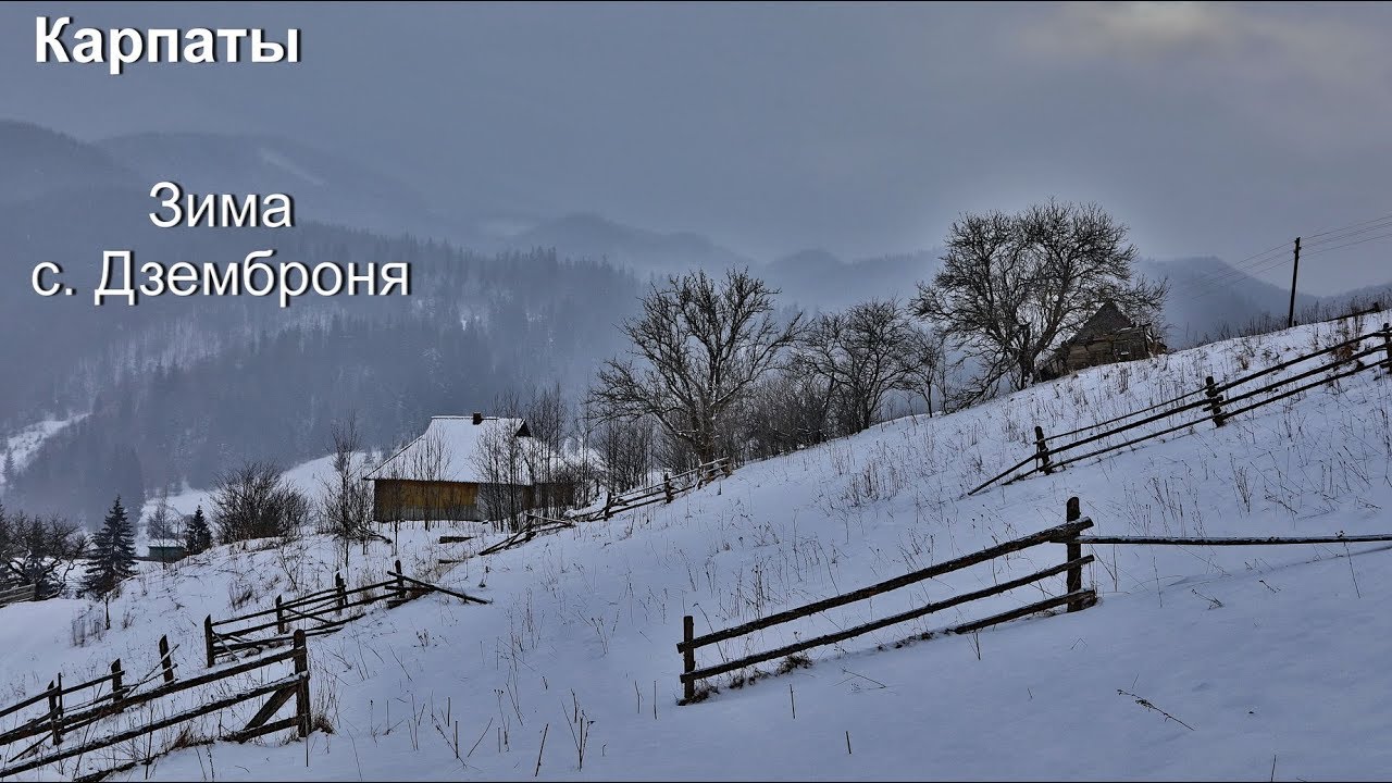 Карпаты. Село Дземброня зимой.