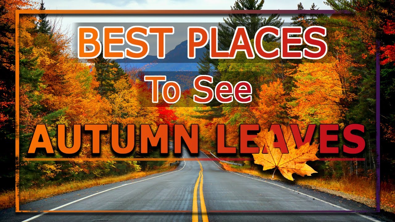 Worlds BEST places to see colorful Fall Leaves