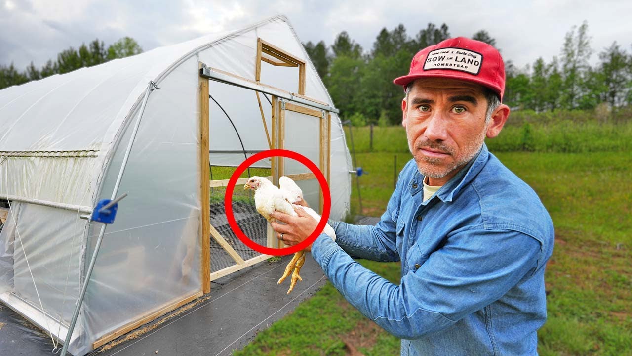 Keep Chickens Out! Building a Door in the High Tunnel Greenhouse