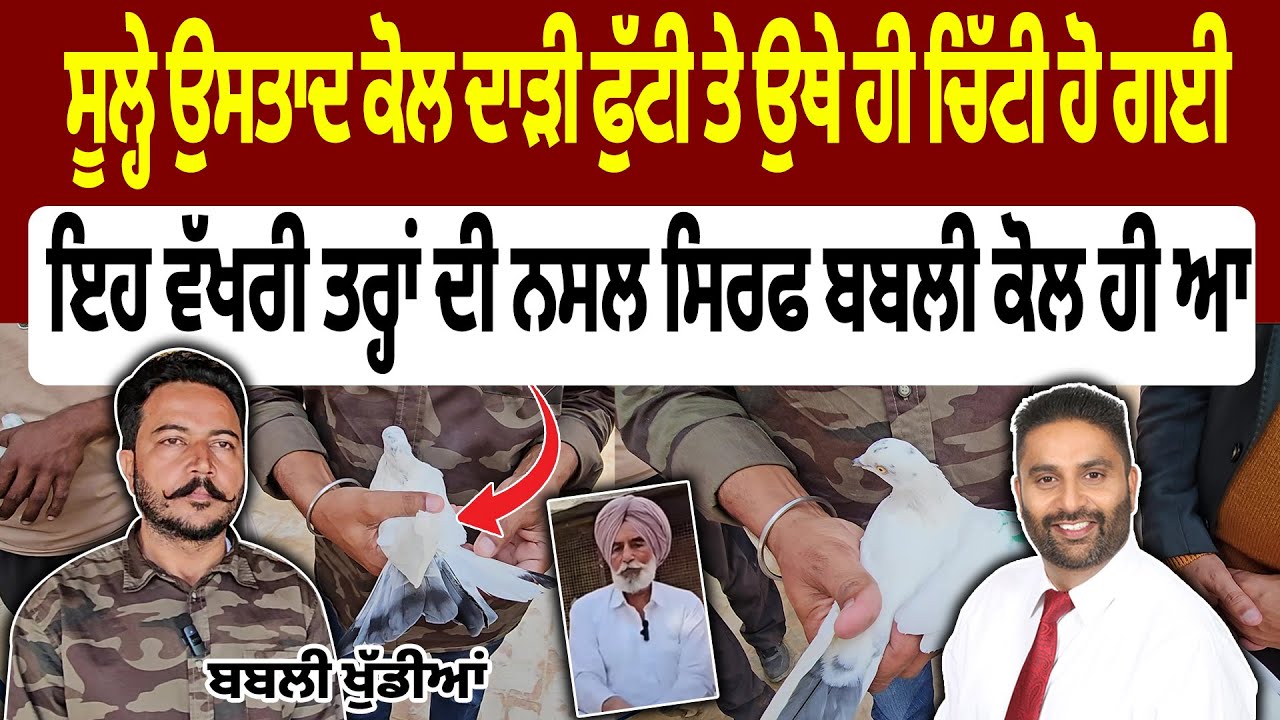 Season 3 |ਇਹ ਵੱਖਰੀ ਤਰ੍ਹਾਂ ਦੀ ਨਸਲ ਸਿਰਫ ਬਬਲੀ ਕੋਲ ਹੀ ਆ ||  Sundip Brar Interview with Babli Khudian