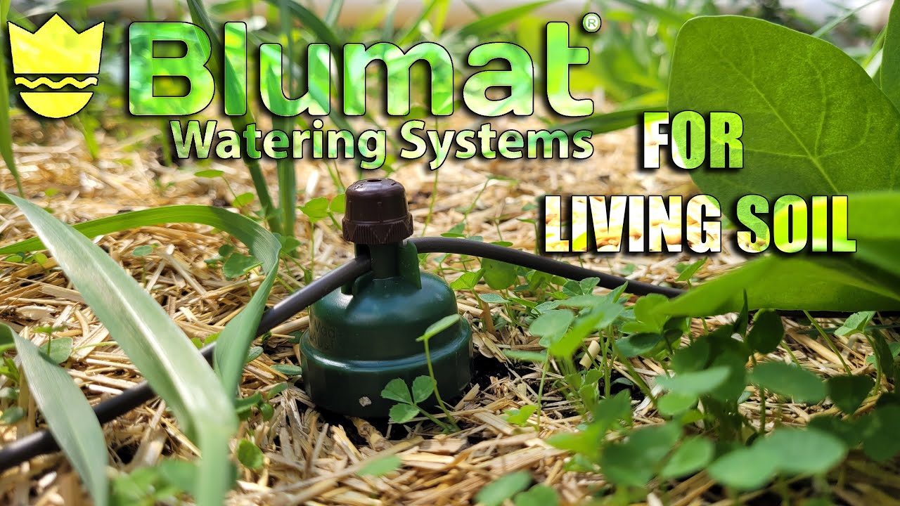 how to setup a BLUMAT DRIPTAPE for a 3x4 LIVINGSOIL BED