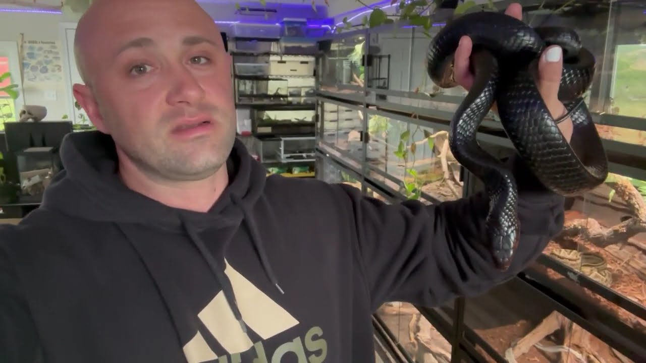 Wildlife Conservation rant and a quick snake room tour.