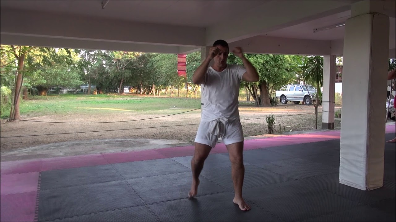 5. Muay Thai Punch Mechanics