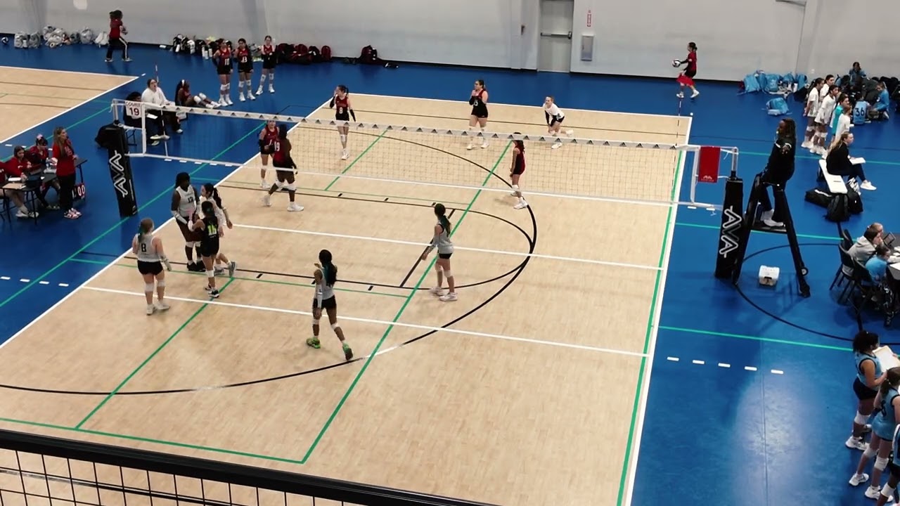 Catalyst 12 Black Volleyball HPL 3 Highlights